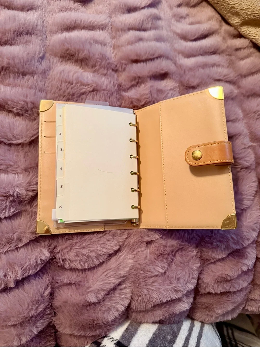 Louis Vuitton Multicolor Monogram Agenda PM Cover